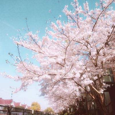 挂机吧军师破解版下载